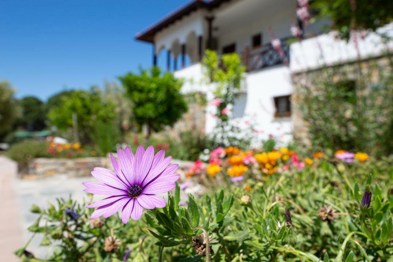 Garden House Psarogiannis