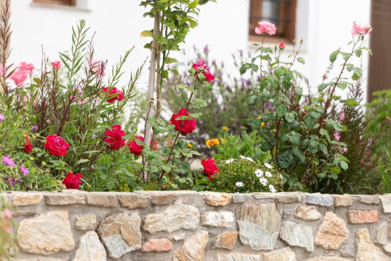 Apartment Garden House Psarogiannis *