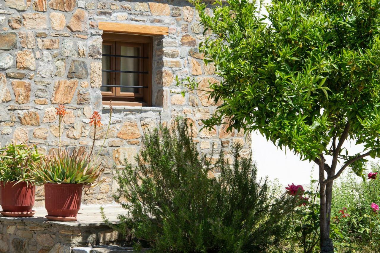 Garden House Psarogiannis *