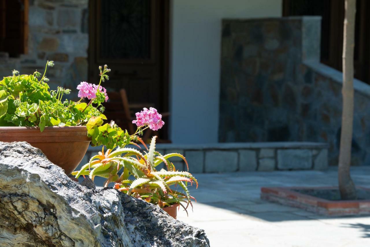 Garden House Psarogiannis *